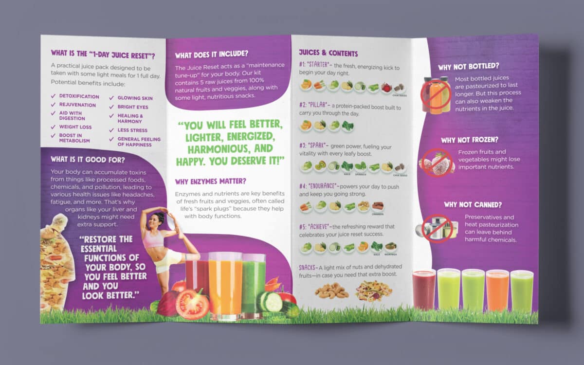 Movita 1-Day Juice Reset Brochures - Image 3